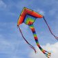 CRY Los Angeles Kite Festival - 2022